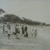 Sandringham Beach, Botany Bay